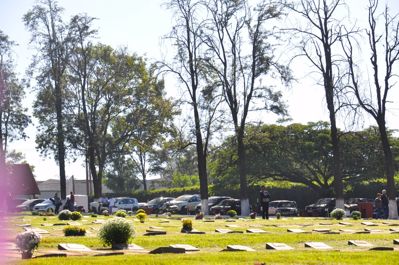 Jazigos sobre o gramado do cemitério parque, entre árvores
