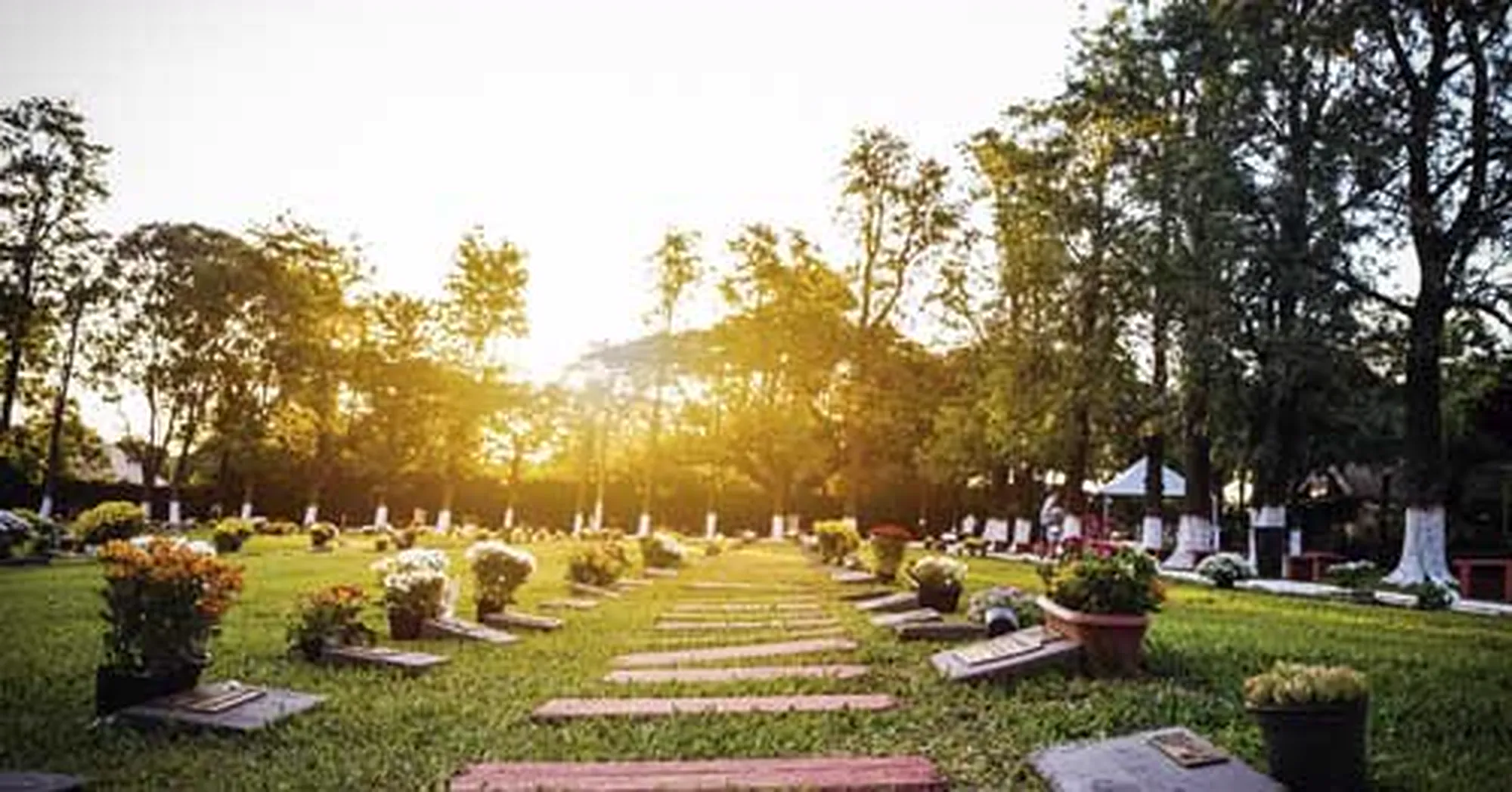 Alameda do cemitério parque Jardim das Oliveiras ao pôr do sol