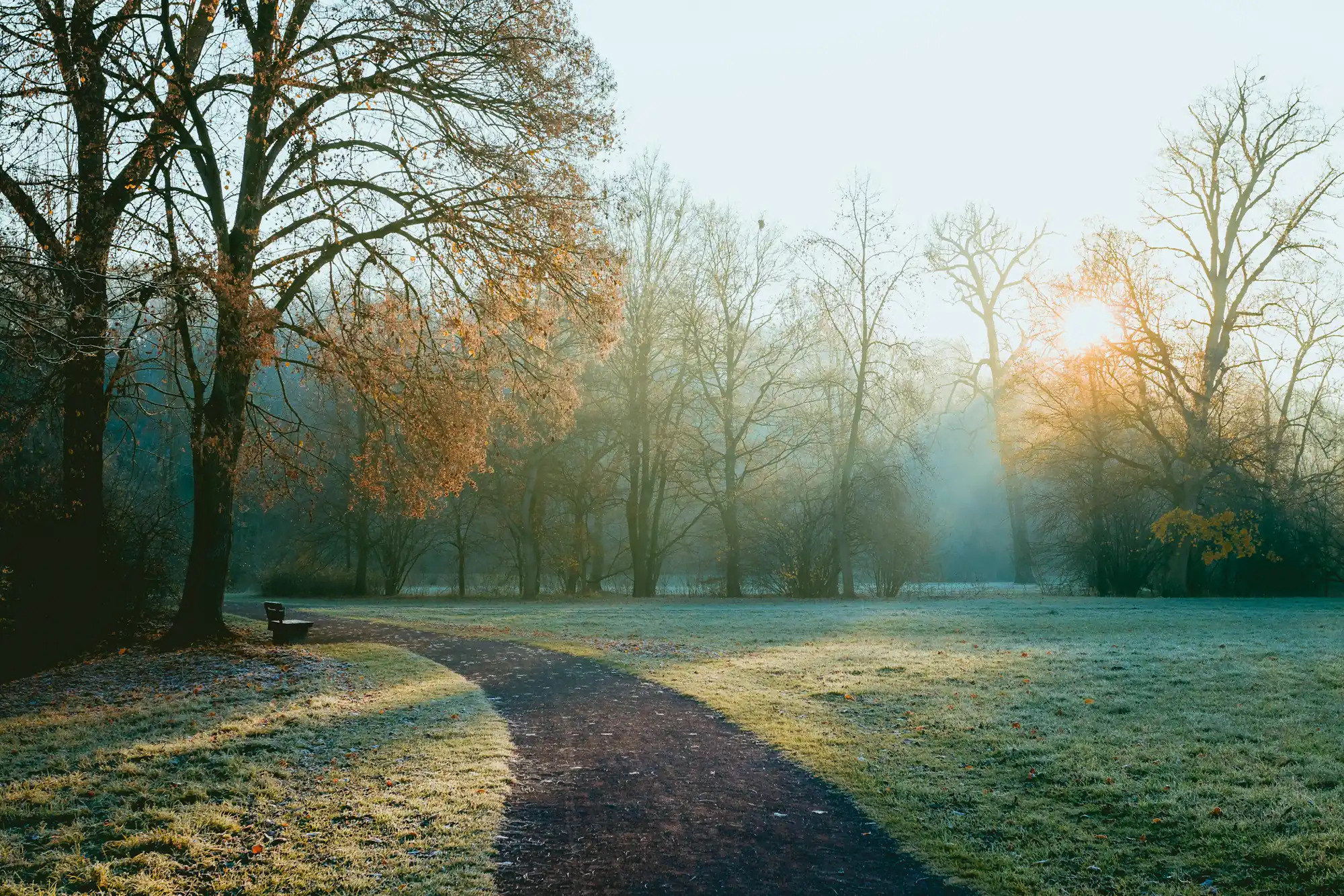 Caminho em um parque ao amanhecer